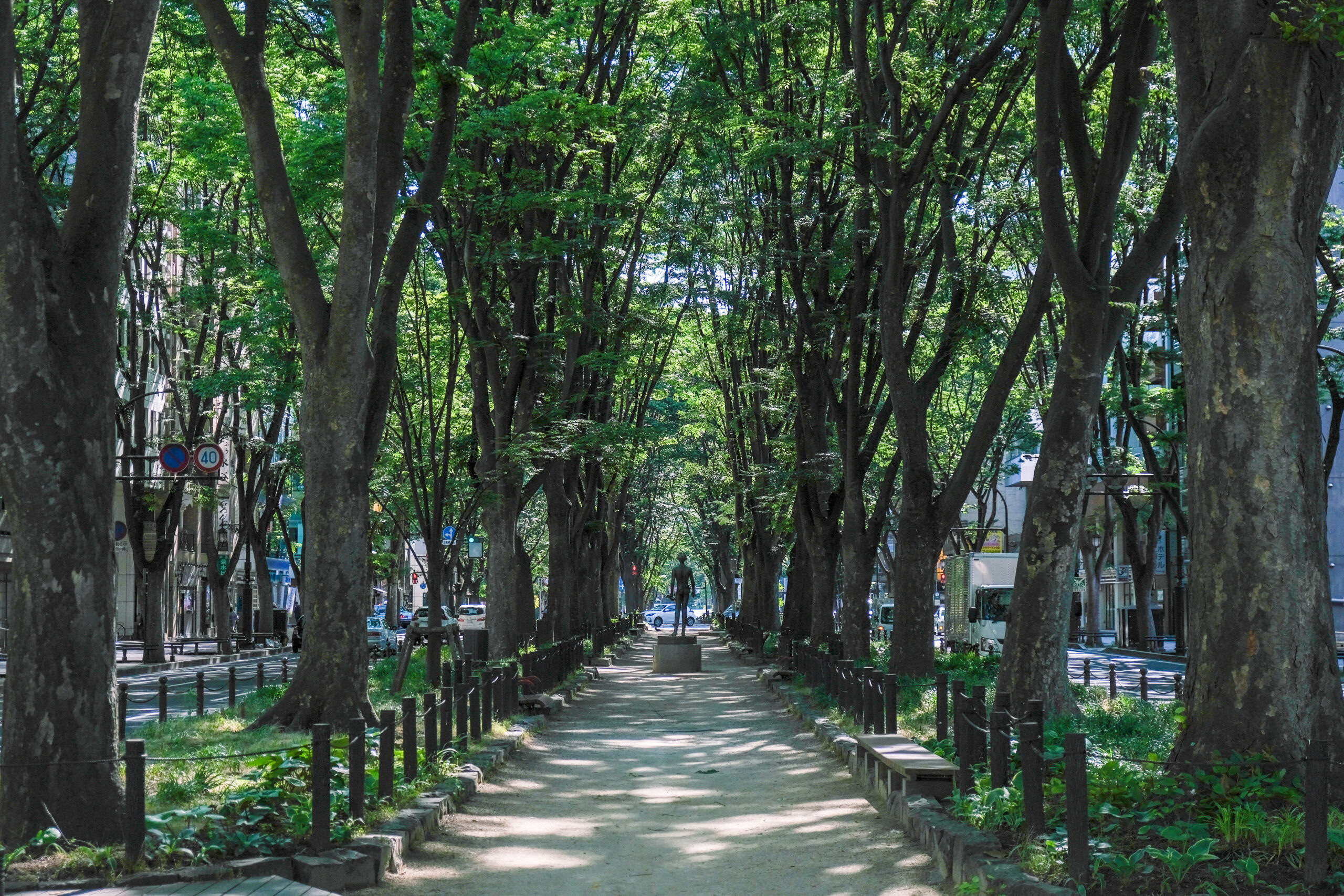 ケヤキを通じた新たな資源循環のあり方を模索する『JOZENJI STREET CIRCULAR PROJECT 』（定禅寺ストリートサーキュラープロジェクト）