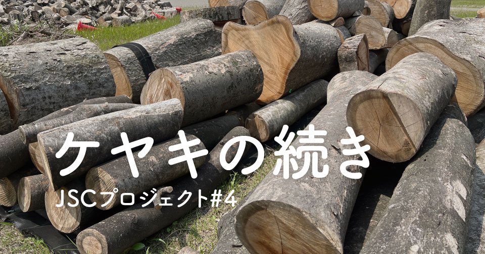 JSCプロジェクト第4弾　伐採木プロジェクト「ケヤキのつづき」が始動！